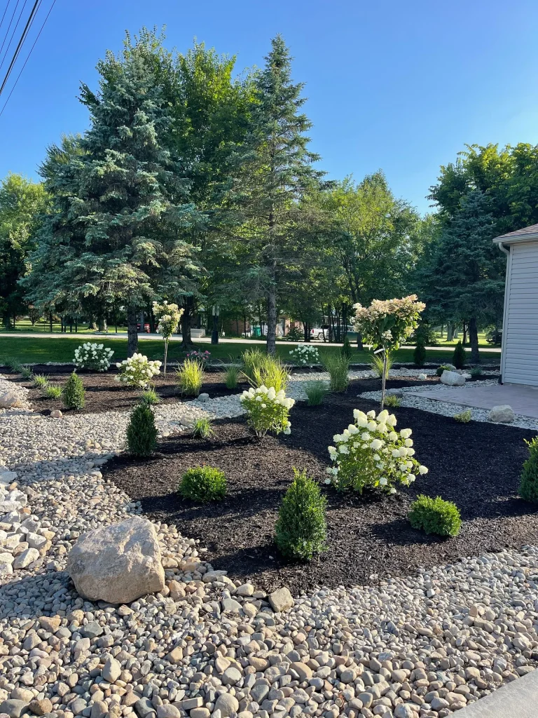 Backyard landscaping featuring dark mulch, decorative rock borders, and flowering shrubs