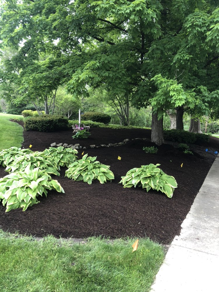 Backyard landscape lighting and hardscape